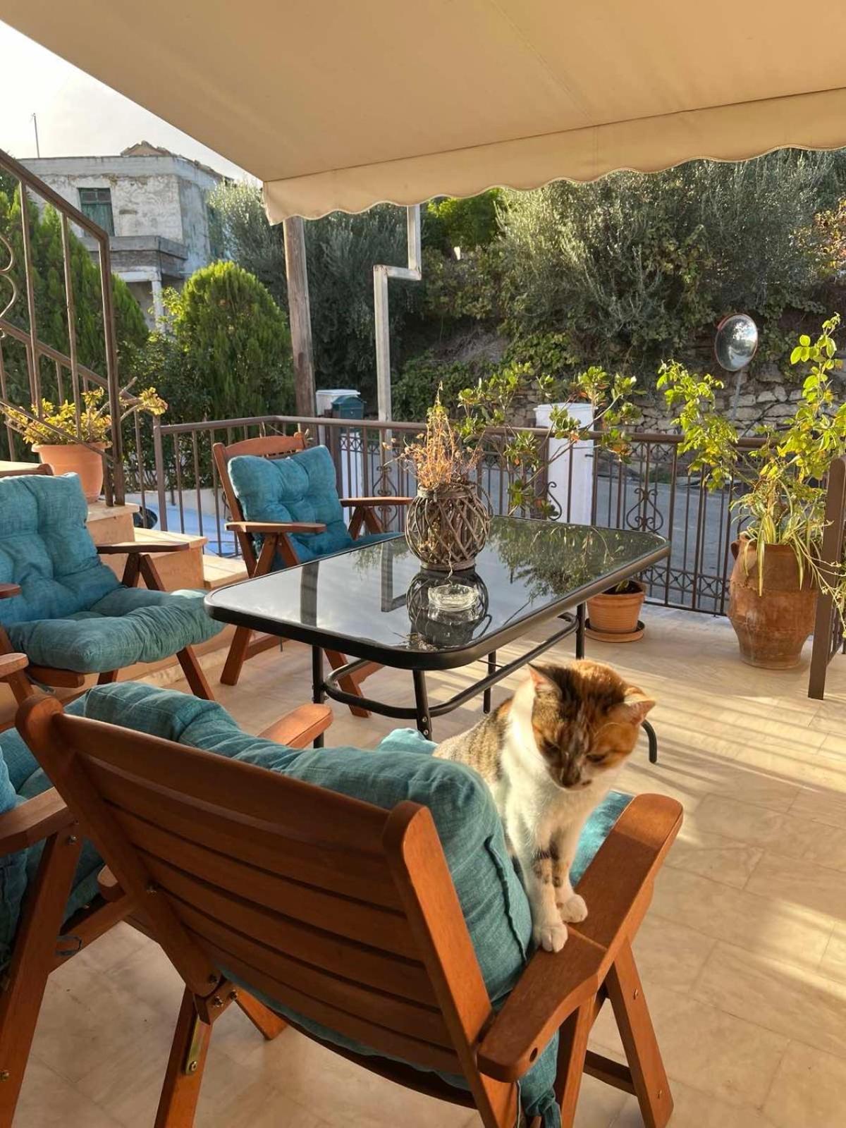 Achilleas Deluxe Αpartment -Pet Friendly-Parking-Mountain View Kotsianá Exterior foto